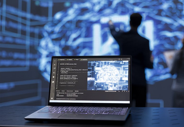 Software Installation Services